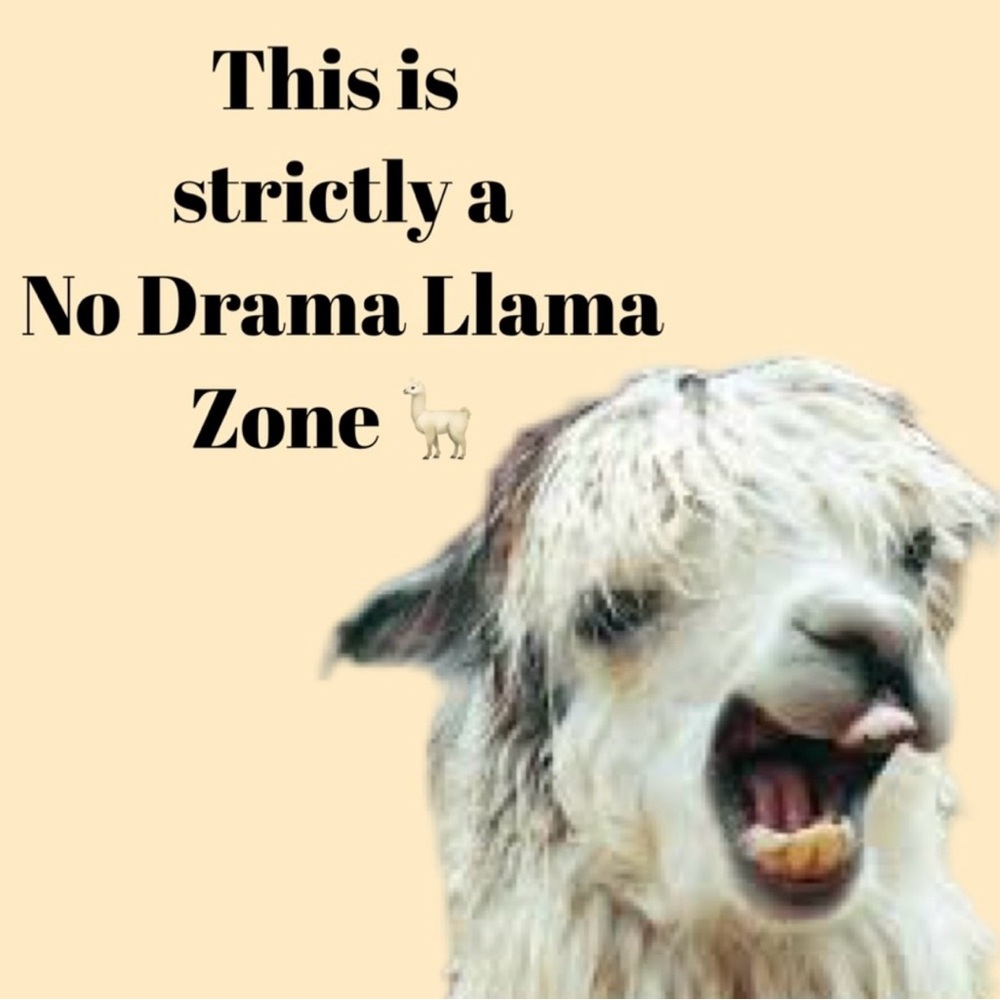 No Drama Llama Zone 🚨🦙